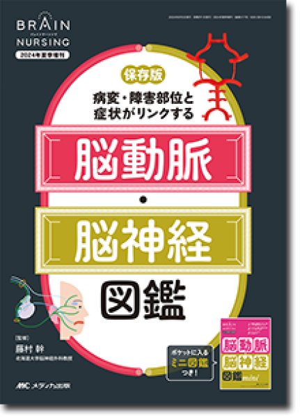 画像1: 保存版 病変・障害部位と症状がリンクする脳動脈・脳神経図鑑【Brain Nursing 2024年夏季増刊】 (1)